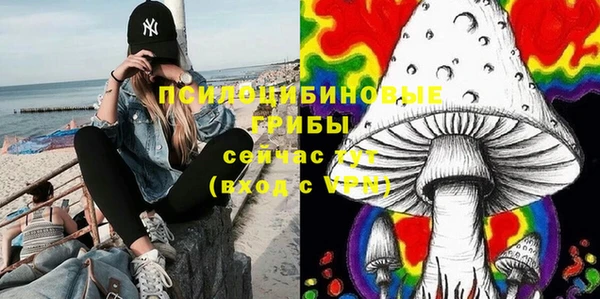 тгк Надым