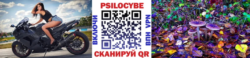 купить наркоту  Новочебоксарск  Галлюциногенные грибы мицелий 